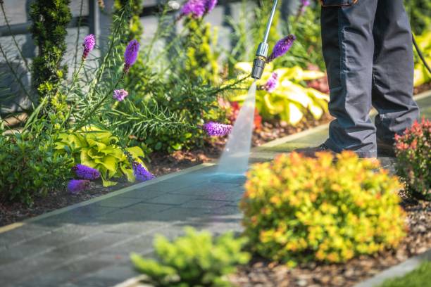 Trusted Kemah, TX Pressure Washing Services Experts
